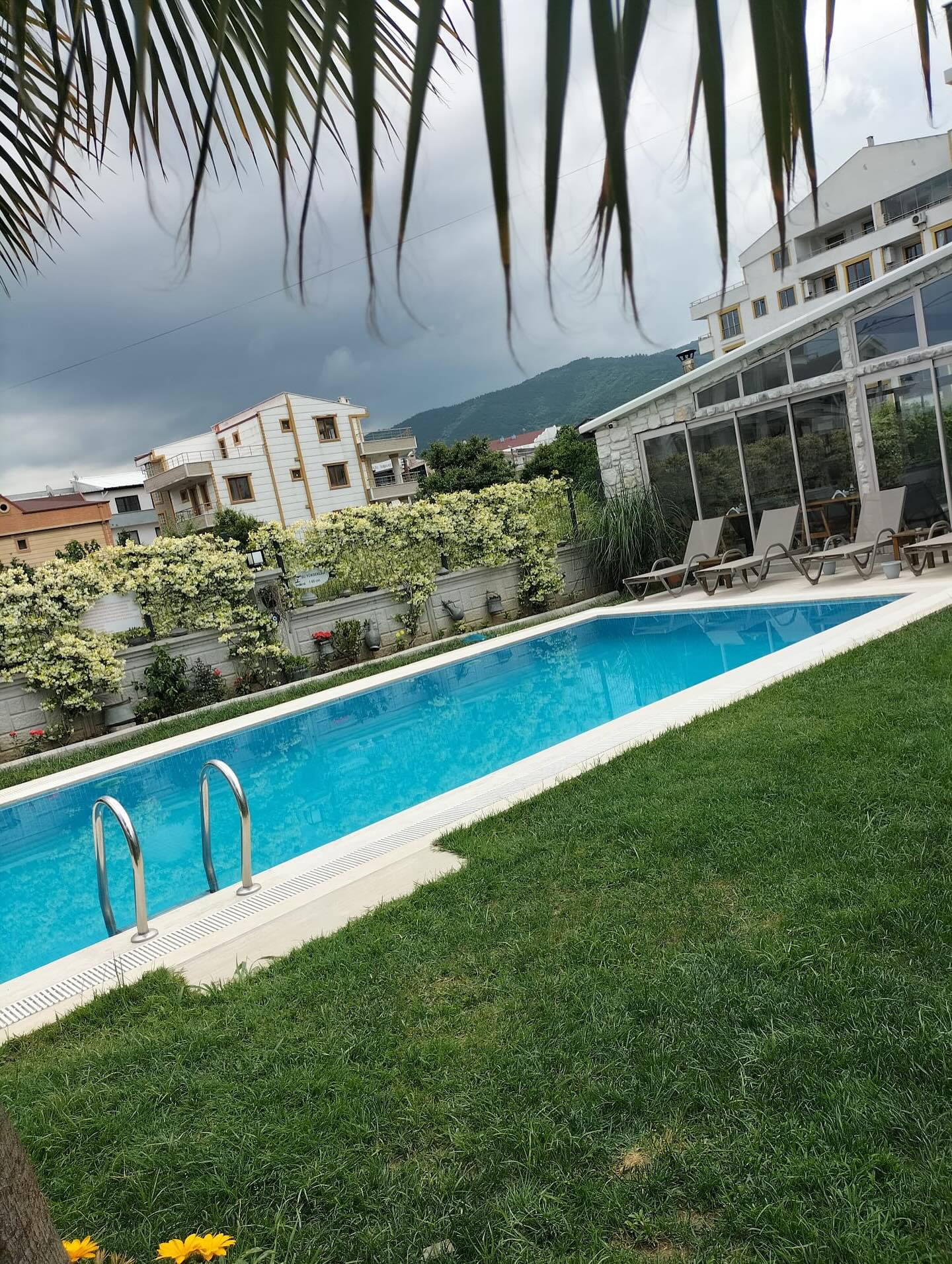 Uzun havuz ve palmiye yaprakları